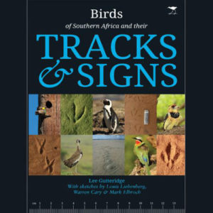 Birds of Southern Africa and Their Tracks and Signs