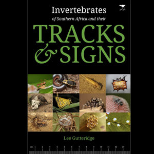 Invertebrates of Southern Africa and Their Tracks and Signs