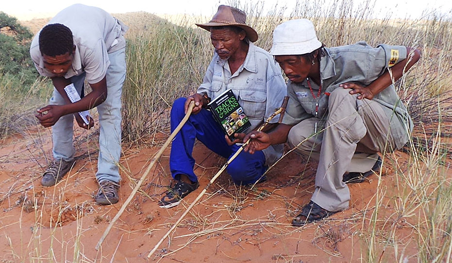 Bushman Trackers in the Kalahari Desert